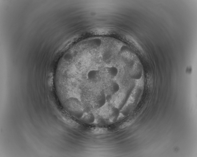 X0000091510549200709141357