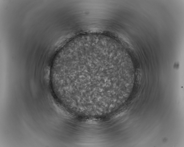 X0000091510550200709141357