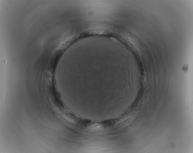 X0000091510551200709141357