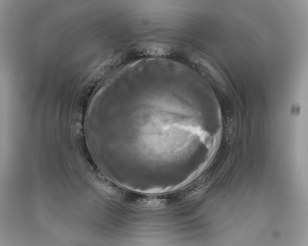 X0000091510553200709141357