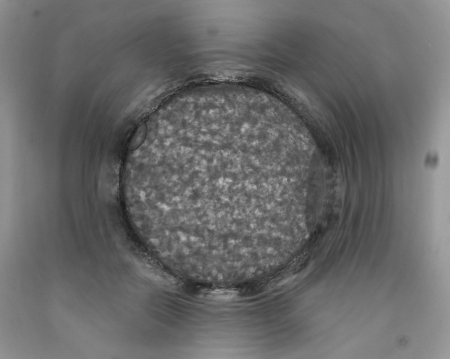 X0000091510554200709141357