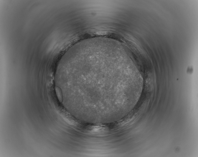 X0000091510555200709141357