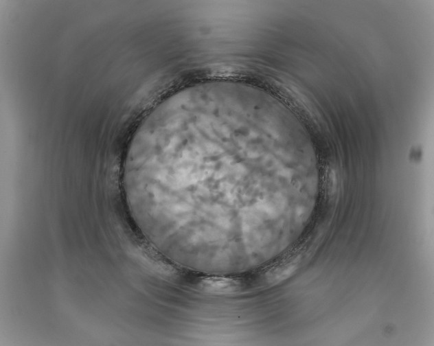 X0000091510557200709141357