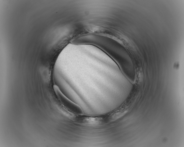 X0000091510558200709141357