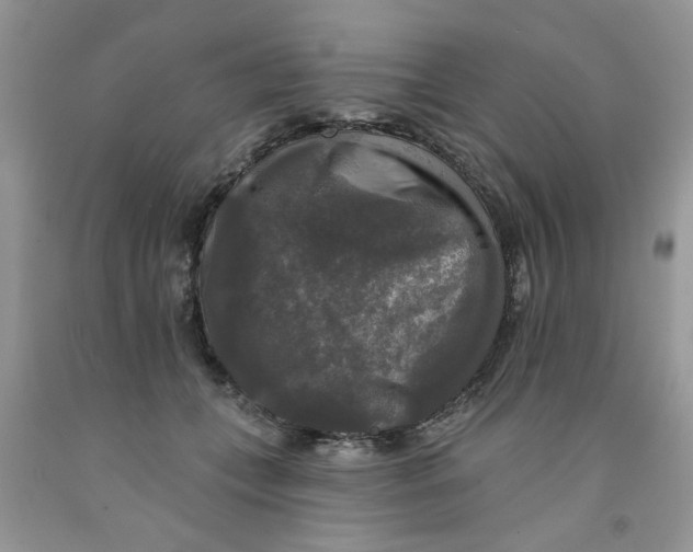 X0000091510559200709141357