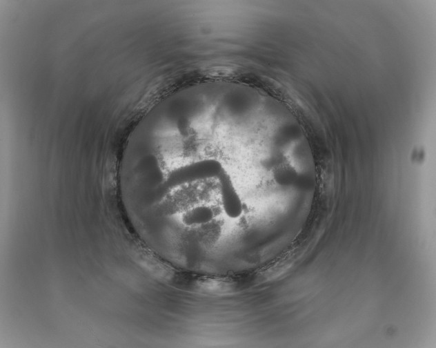 X0000091510561200709141357