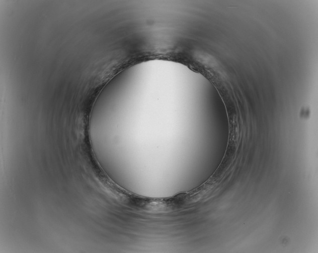 X0000091510562200709141357