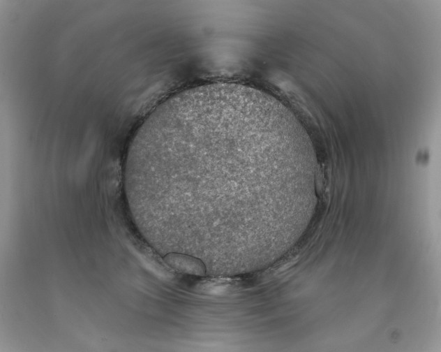 X0000091510563200709141357