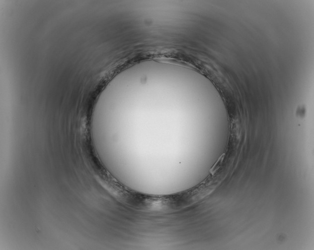 X0000091510564200709141357