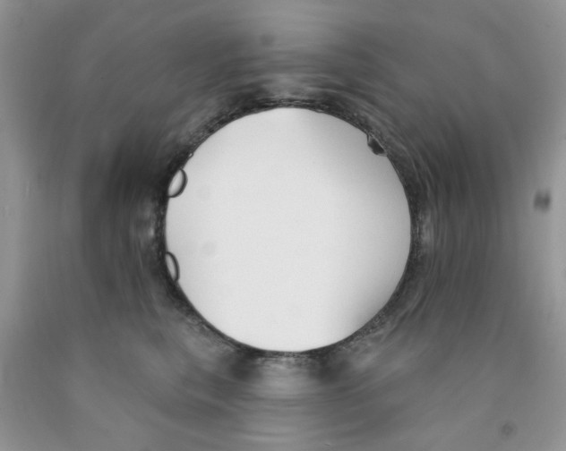 X0000091510567200709141357