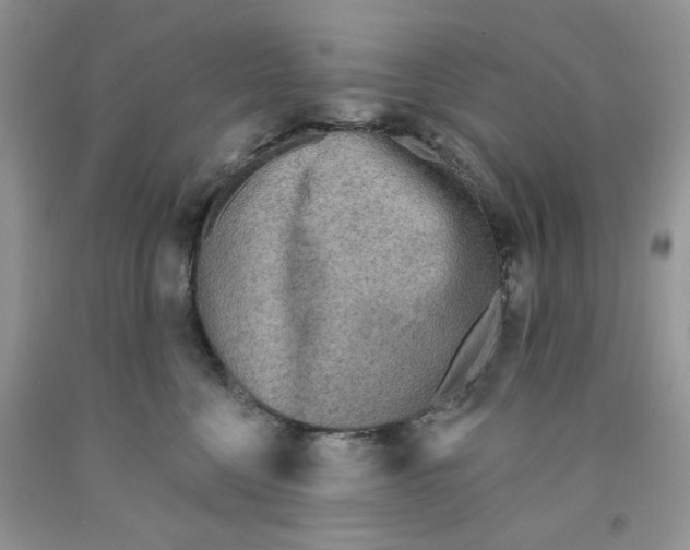 X0000091510568200709141357