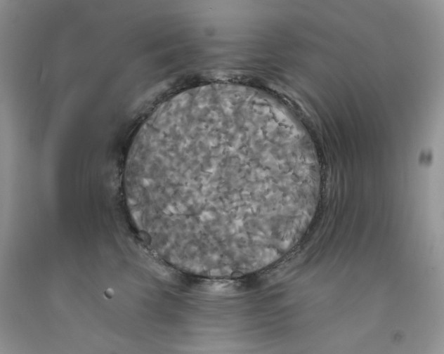 X0000091510569200709141357