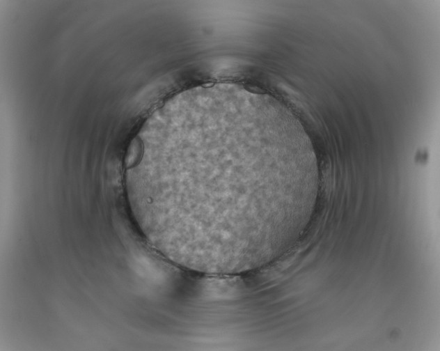 X0000091510571200709141357