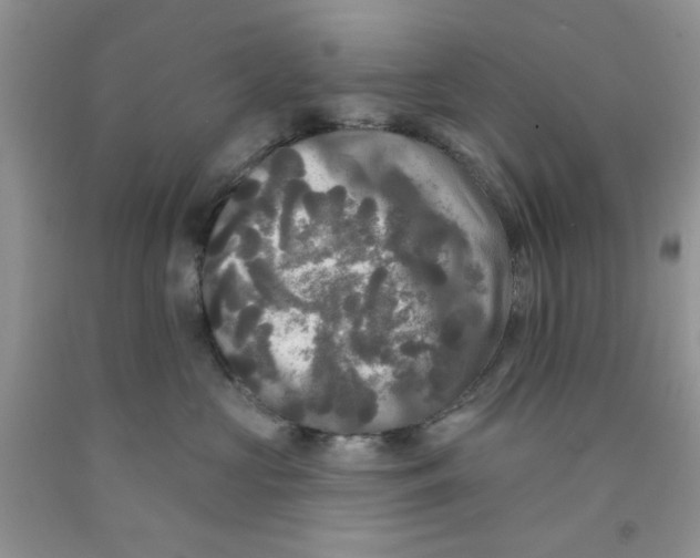 X0000091510573200709141357