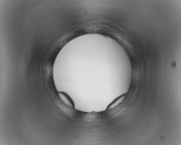 X0000091510574200709141357