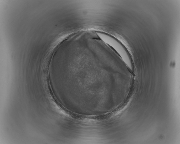 X0000091510577200709141356