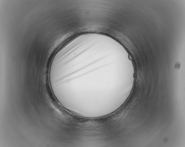 X0000091510578200709141356