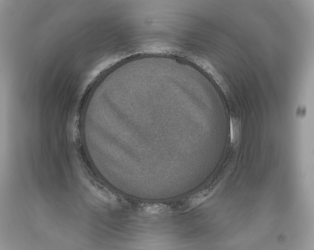 X0000091510579200709141356