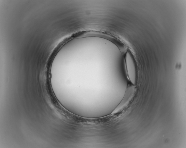 X0000091510580200709141356