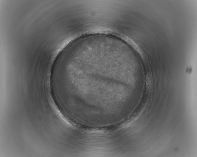 X0000091510581200709141356