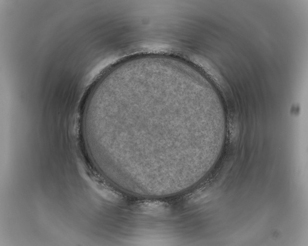 X0000091510583200709141356