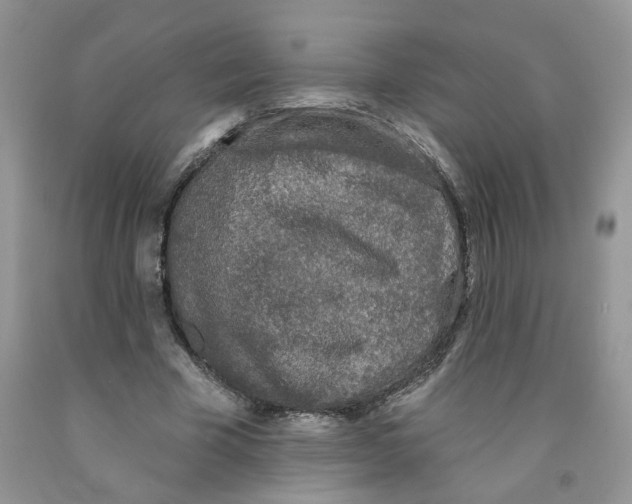 X0000091510585200709141356