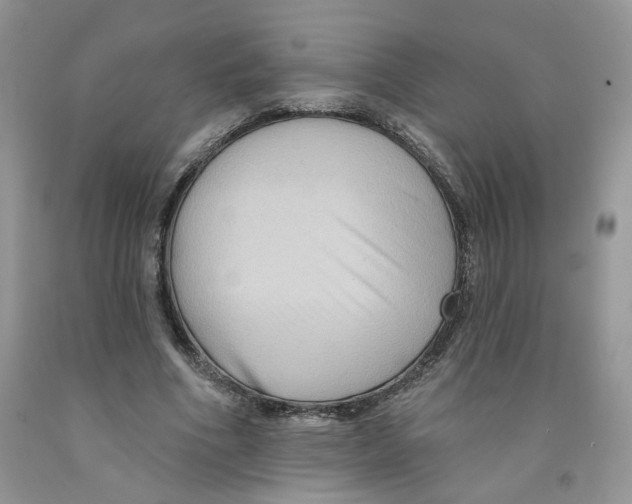 X0000091510586200709141356