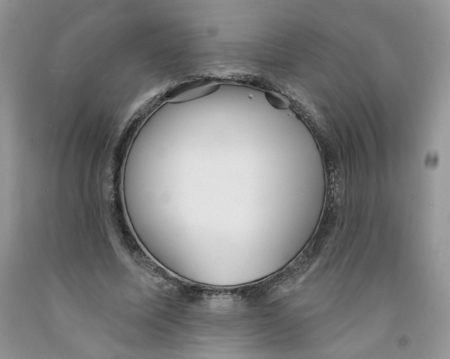 X0000091510587200709141356