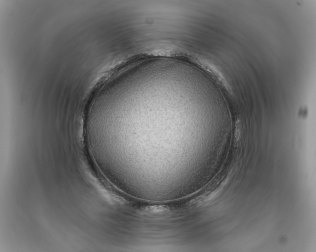 X0000091510589200709141356