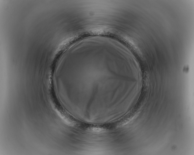 X0000091510590200709141356