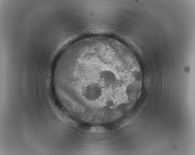 X0000091510591200709141356