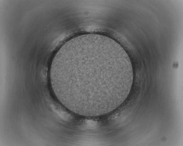 X0000091510592200709141356