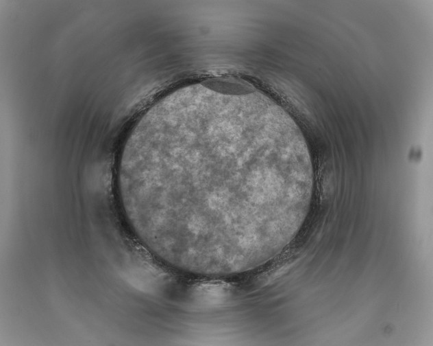 X0000091510595200709141356