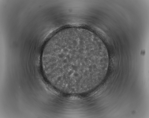 X0000091510596200709141356