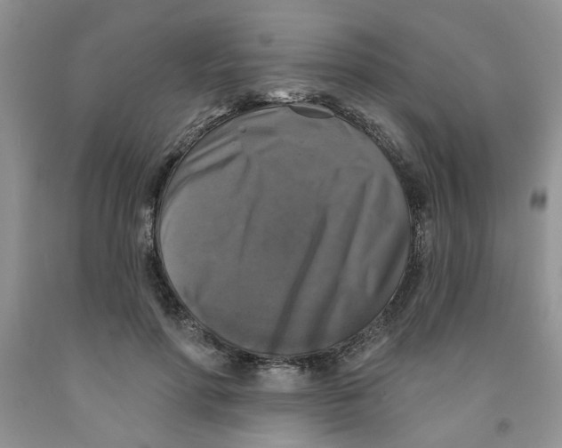 X0000091510598200709141356