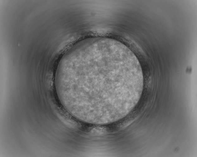 X0000091510599200709141356