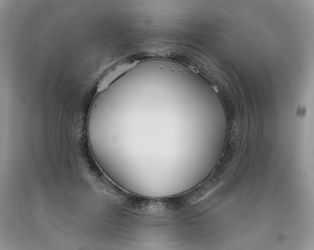 X0000091510600200709141356