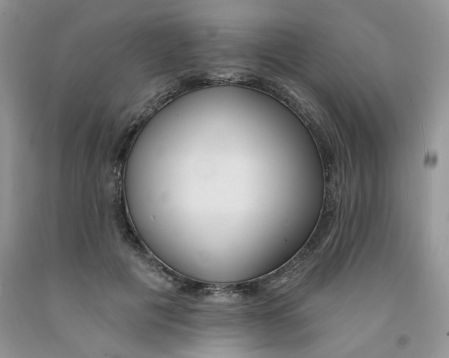 X0000091510601200709141356