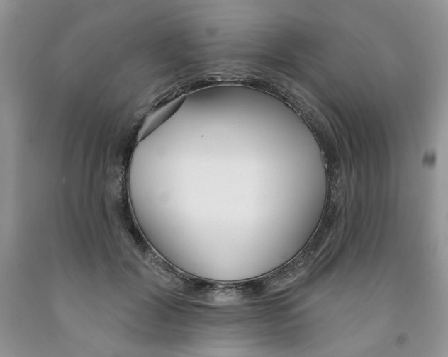 X0000091510604200709141356