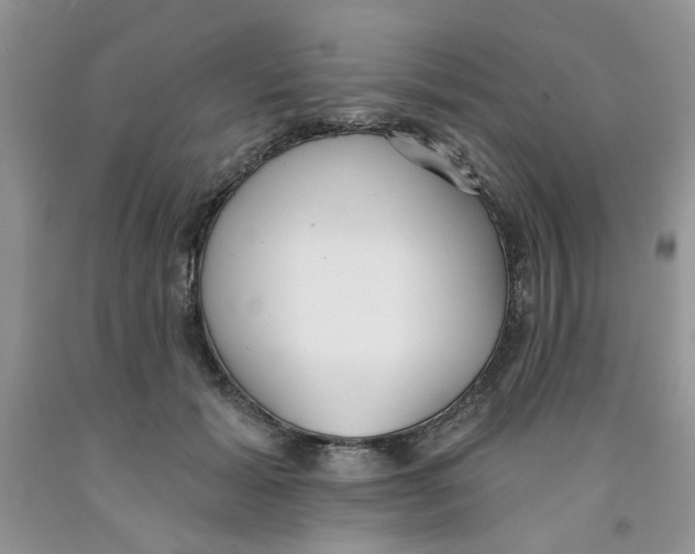 X0000091510605200709141356