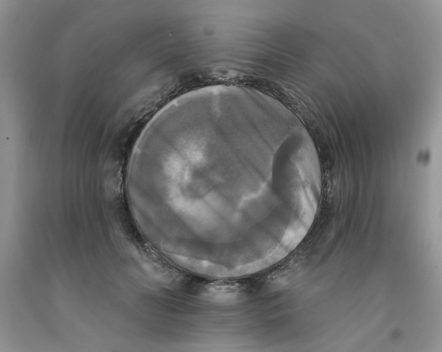 X0000091510606200709141356