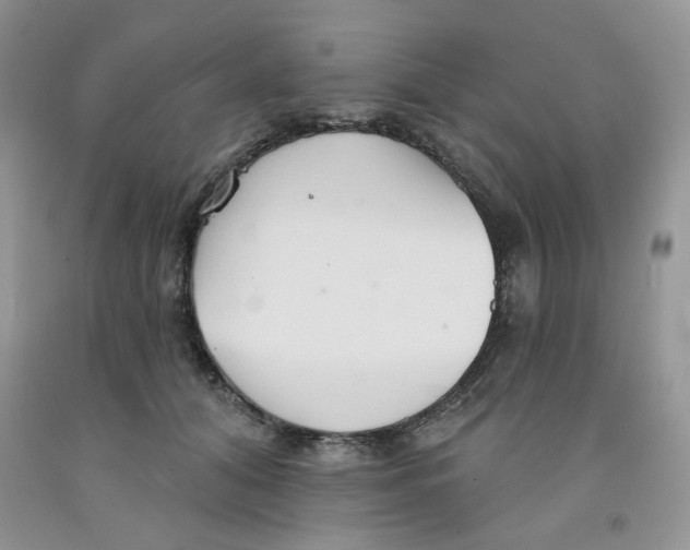 X0000091510608200709141356