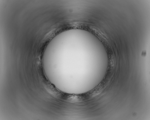 X0000091510611200709141356