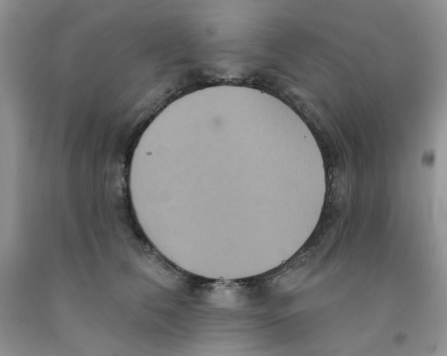 X0000091510612200709141356