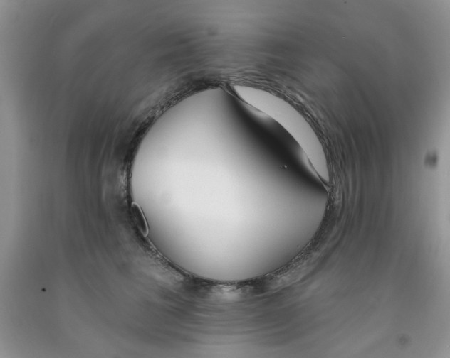 X0000091510613200709141356