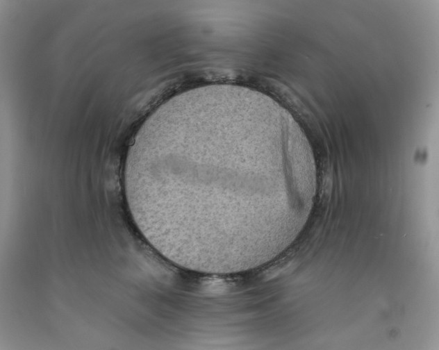 X0000091510616200709141356