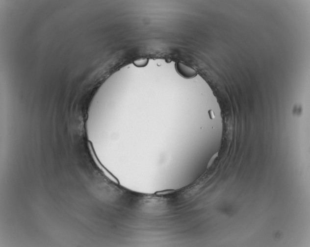 X0000091510617200709141356