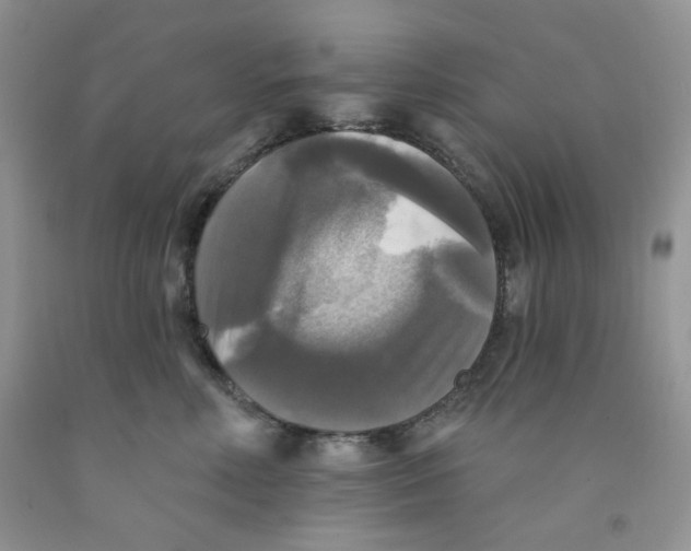 X0000091510618200709141356