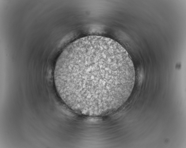 X0000091510619200709141356