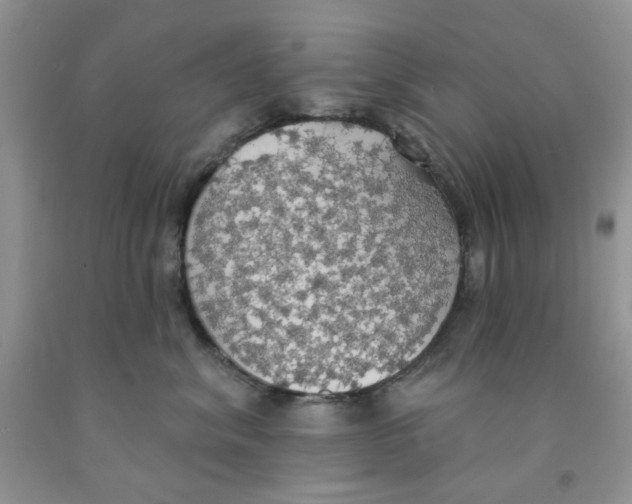 X0000091510620200709141356